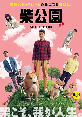 天天躁夜夜躁狠狠躁躁88