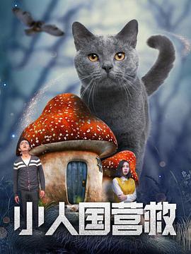 午夜久久视频