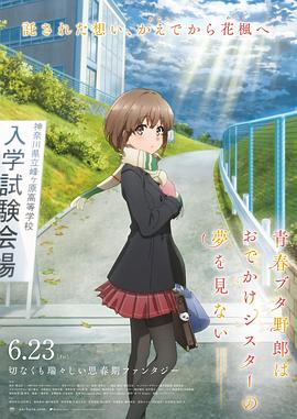 公与儿媳系列100集
