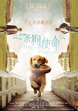 飞拉达是什么意思